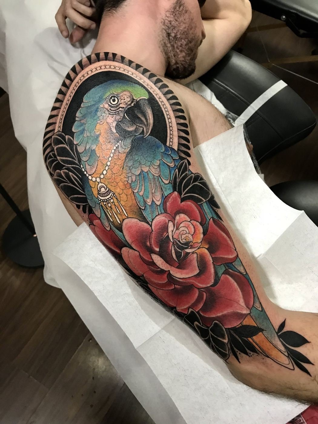 Papagaio e rosa