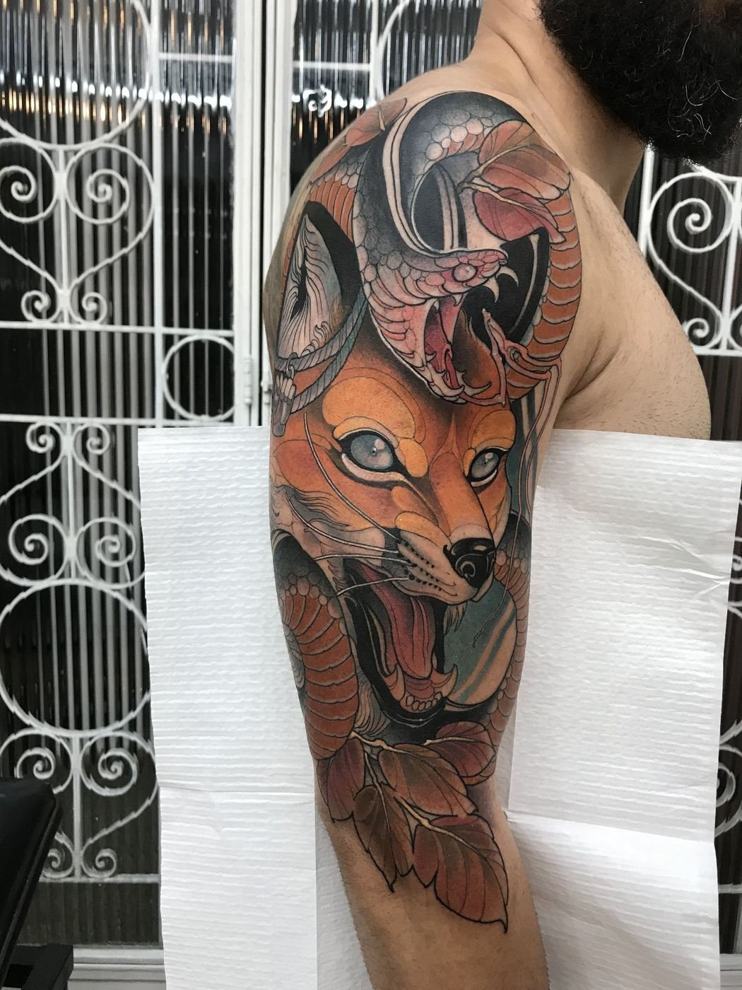 Raposa