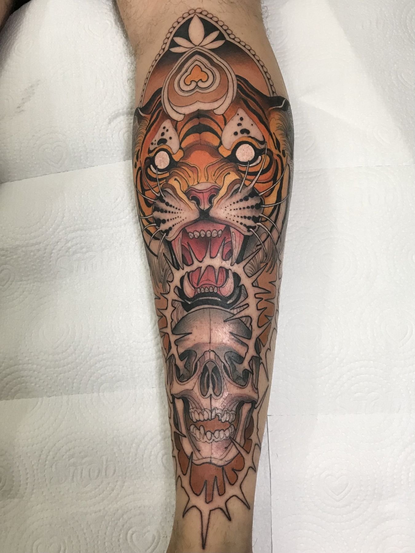 Tigre e caveira